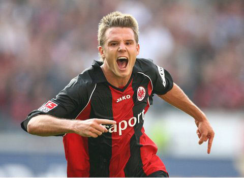 他们主要从 他们主要从